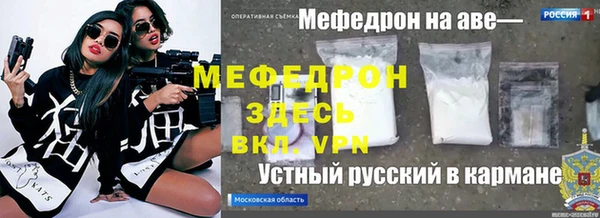 стаф Алексин